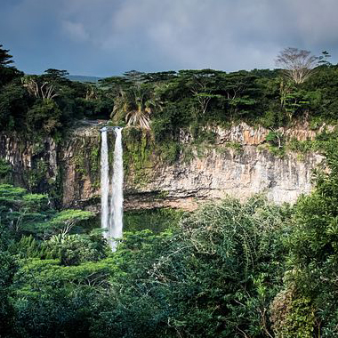 tropical rainforest biome